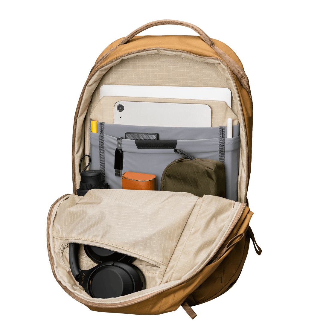 Daily Plus – Able Carry